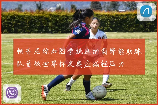 帕齐尼称加图索挑选的前锋能助球队晋级世界杯皮奥应减轻压力