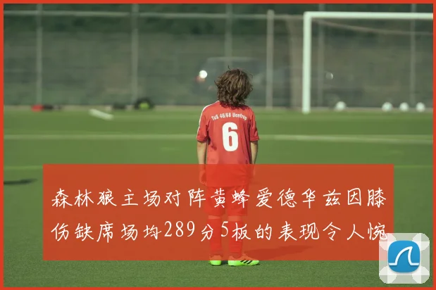 森林狼主场对阵黄蜂爱德华兹因膝伤缺席场均289分5板的表现令人惋惜