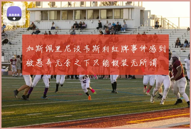 加斯佩里尼谈韦斯利红牌事件感到被愚弄无奈之下只能假装无所谓
