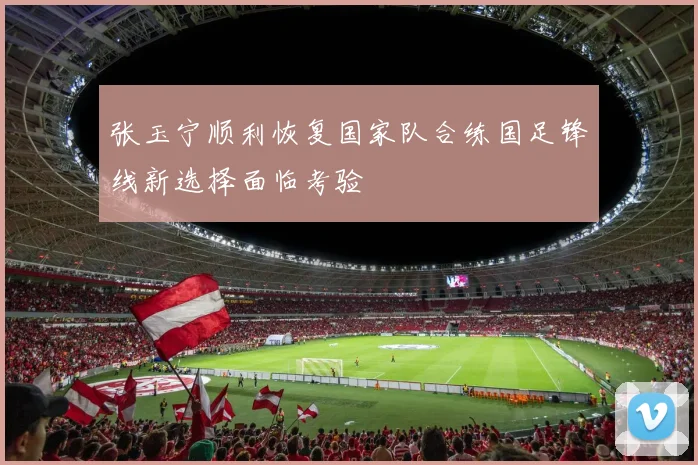 张玉宁顺利恢复国家队合练国足锋线新选择面临考验